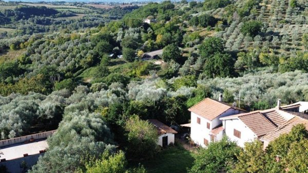 casa indipendente in vendita a Montopoli di Sabina in zona Santa Maria