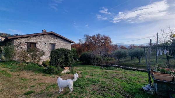 casa indipendente in vendita a Montopoli di Sabina in zona Santa Maria