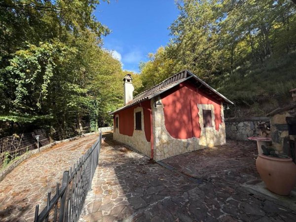 casa indipendente in vendita a Petrella Salto in zona Borgo San Pietro