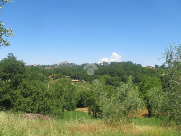 terreno agricolo in vendita a Poggio Catino