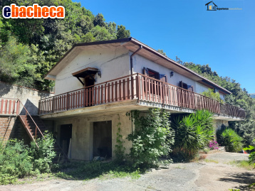 casa indipendente in vendita a Poggio Catino
