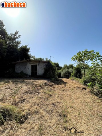 appartamento in vendita a Poggio Catino