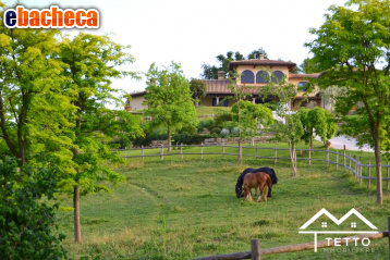 casa indipendente in vendita a Poggio Catino