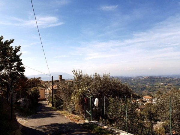 terreno agricolo in vendita a Poggio Catino in zona Catino