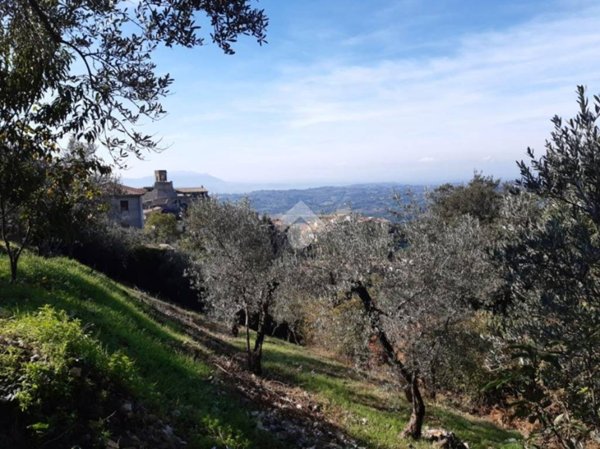 terreno agricolo in vendita a Poggio Catino in zona Catino