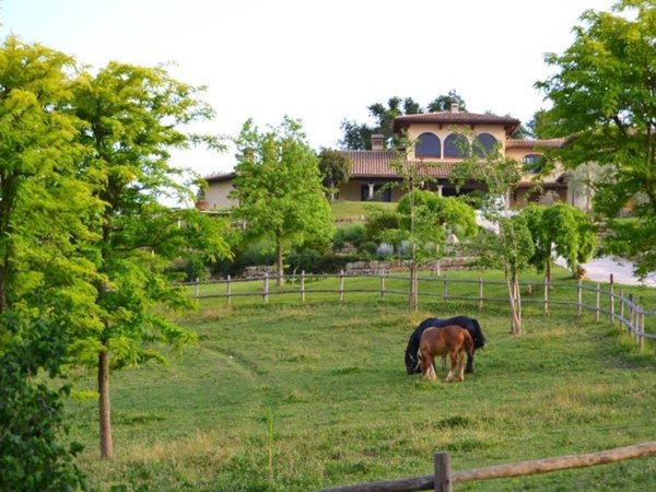 casa indipendente in vendita a Poggio Catino