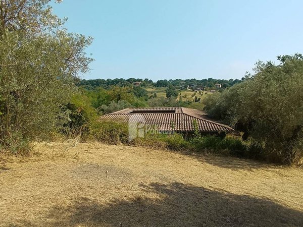 casa indipendente in vendita a Poggio Catino in zona Catino