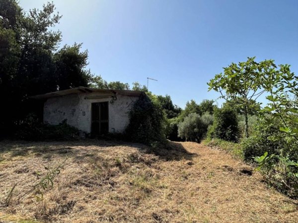 casa indipendente in vendita a Poggio Catino