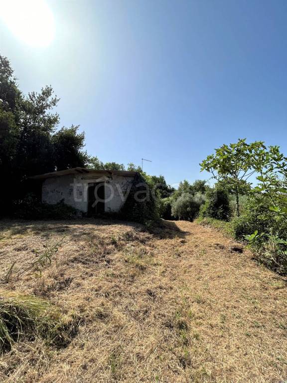 casa indipendente in vendita a Poggio Catino in zona Catino