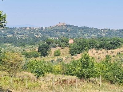 terreno agricolo in vendita a Poggio Catino