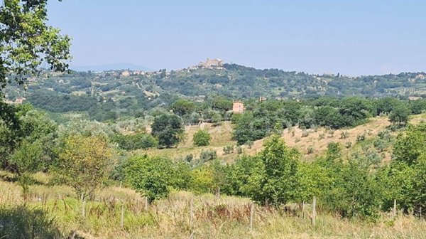 terreno agricolo in vendita a Poggio Catino in zona Catino