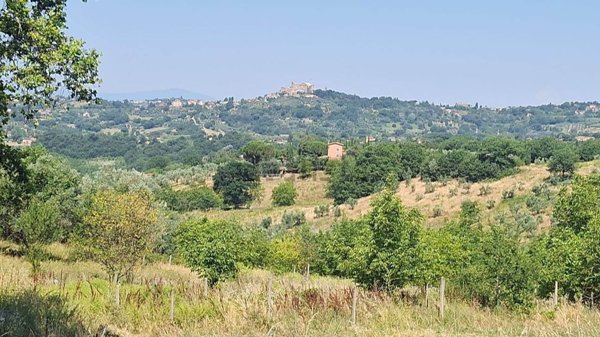 terreno agricolo in vendita a Poggio Catino