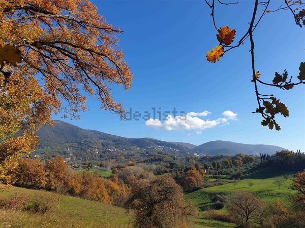 terreno agricolo in vendita a Poggio Catino