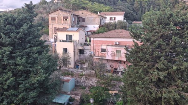 esavano in vendita a Poggio Catino