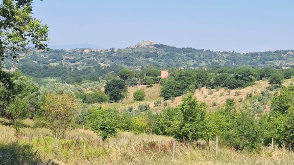 terreno agricolo in vendita a Poggio Catino
