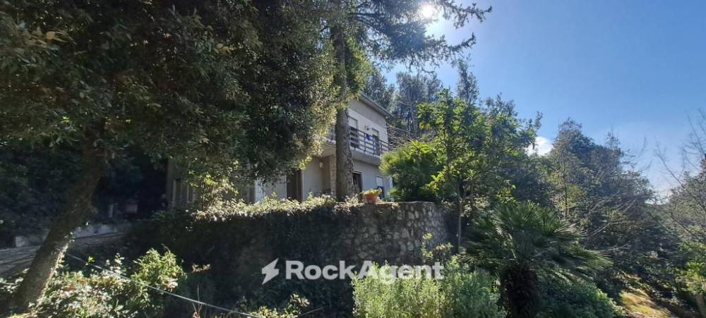 casa indipendente in vendita a Poggio Catino in zona Catino