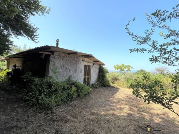 casa indipendente in vendita a Poggio Catino