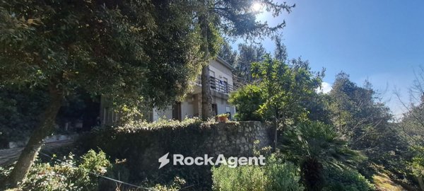 casa indipendente in vendita a Poggio Catino