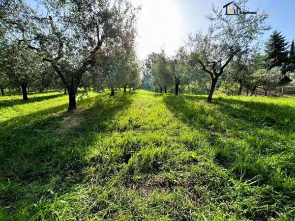 terreno agricolo in vendita a Poggio Mirteto in zona San Luigi