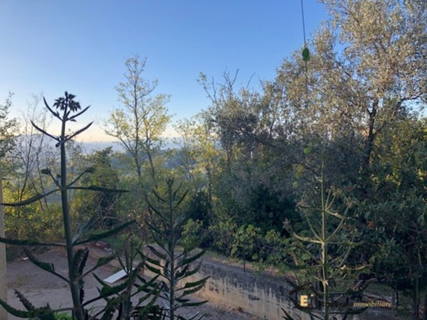 appartamento in vendita a Poggio Mirteto