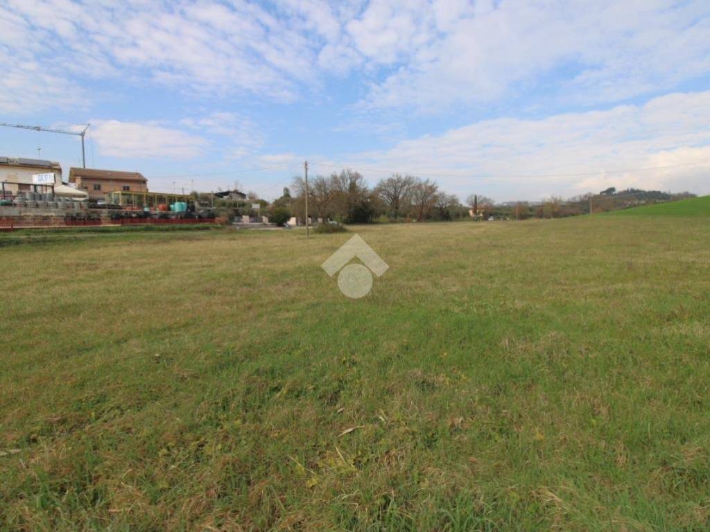 terreno agricolo in vendita a Poggio Mirteto in zona Poggio Mirteto Scalo