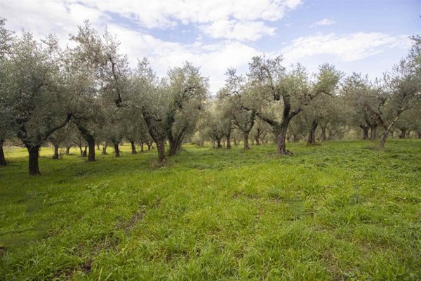 casa indipendente in vendita a Poggio Mirteto
