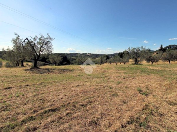 terreno agricolo in vendita a Poggio Mirteto