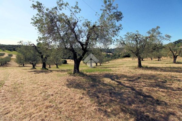 negozio in vendita a Poggio Mirteto