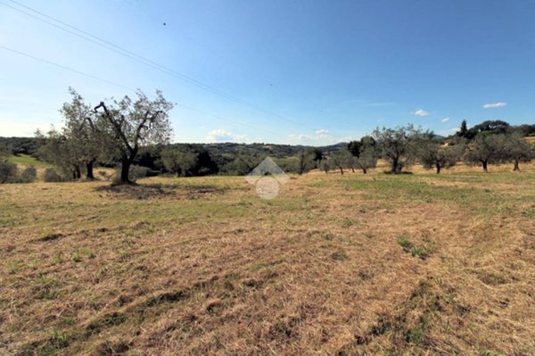 negozio in vendita a Poggio Mirteto