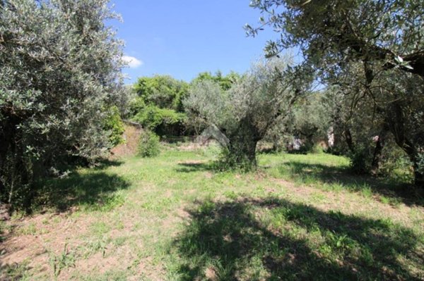 terreno agricolo in vendita a Poggio Mirteto in zona San Luigi