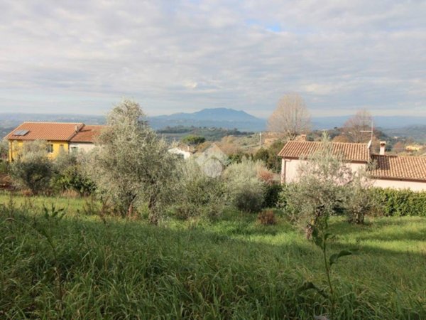 terreno agricolo in vendita a Poggio Mirteto