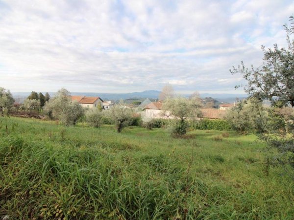 terreno agricolo in vendita a Poggio Mirteto