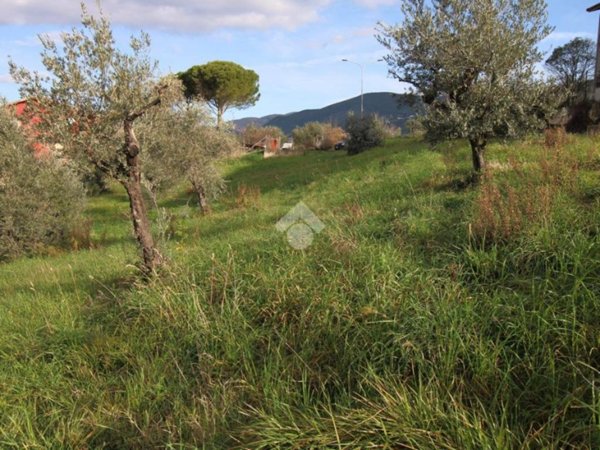 terreno agricolo in vendita a Poggio Mirteto in zona San Valentino