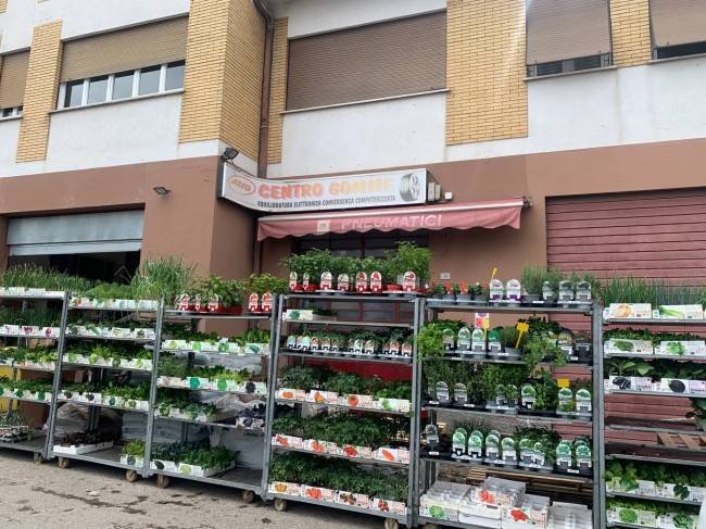 negozio in vendita a Poggio Mirteto