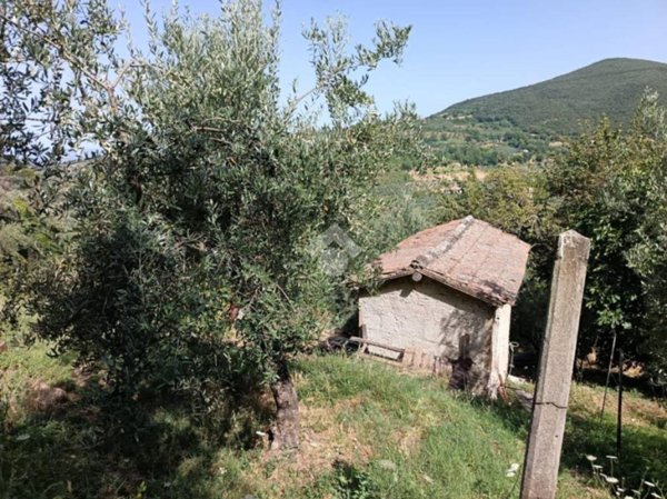 terreno agricolo in vendita a Poggio Mirteto in zona Castel San Pietro