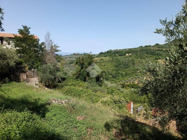terreno agricolo in vendita a Poggio Mirteto in zona Castel San Pietro
