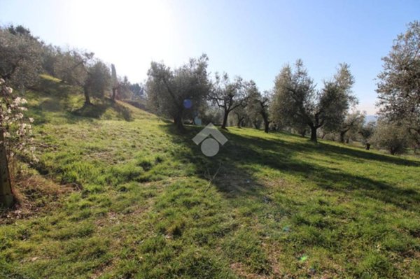 terreno agricolo in vendita a Poggio Mirteto