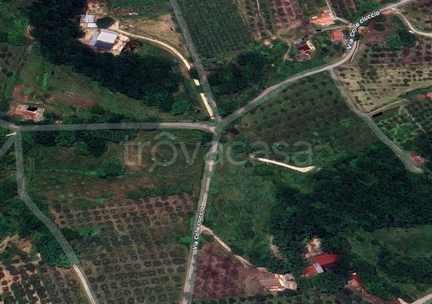 appartamento in vendita a Poggio Moiano
