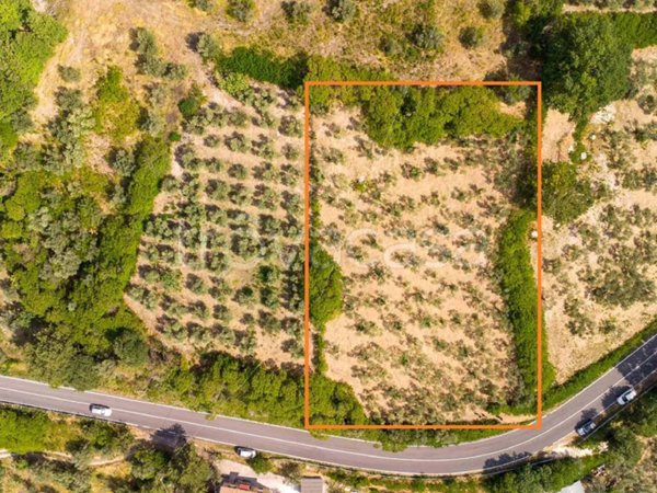 terreno agricolo in vendita a Poggio Moiano