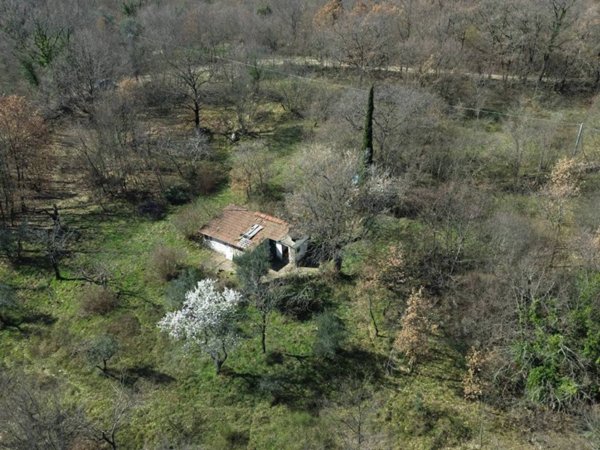 casa indipendente in vendita a Poggio Moiano