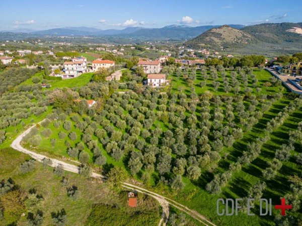 terreno agricolo in vendita a Poggio Nativo