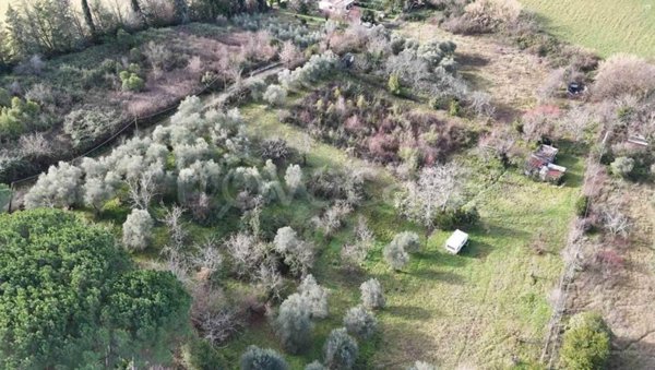 terreno agricolo in vendita a Poggio Nativo