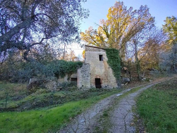 terreno agricolo in vendita a Poggio Nativo