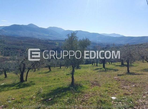 terreno agricolo in vendita a Poggio Nativo