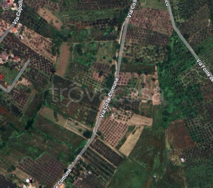 appartamento in vendita a Poggio Nativo
