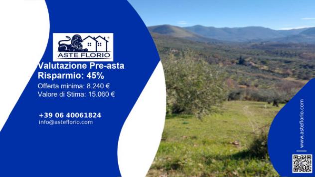 terreno agricolo in vendita a Poggio Nativo