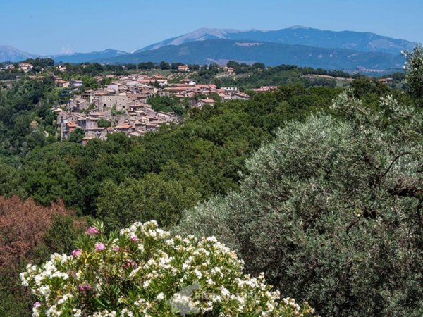 terreno agricolo in vendita a Poggio Nativo