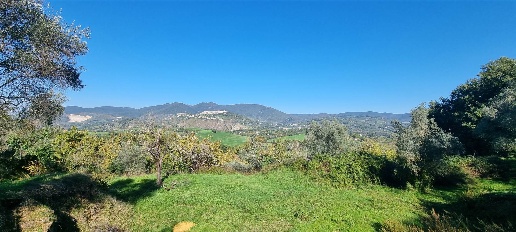 casa indipendente in vendita a Poggio Nativo