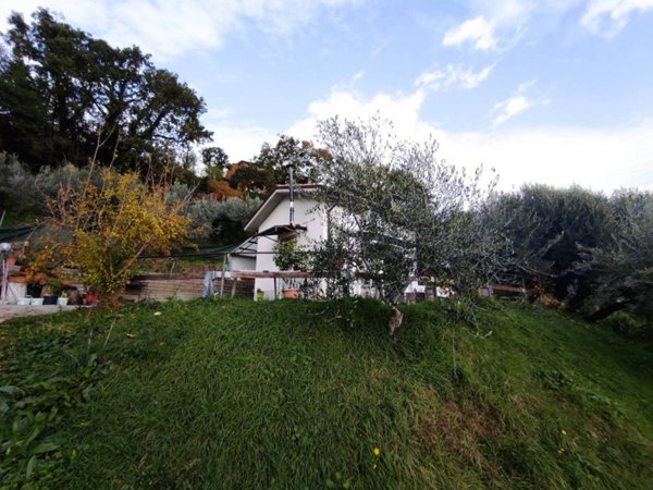 terreno agricolo in vendita a Poggio Nativo
