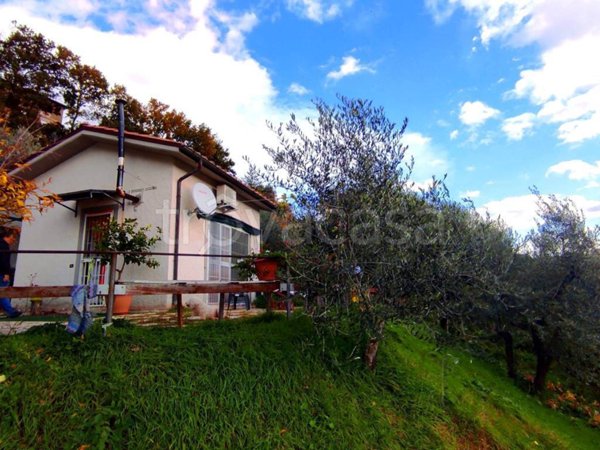 terreno agricolo in vendita a Poggio Nativo